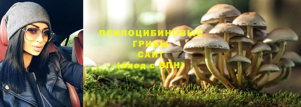 спиды Алексин