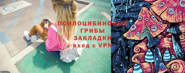 спайс Алзамай